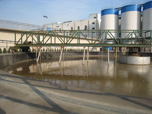 SSG���p��߅���ӹ����C